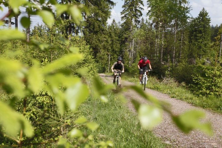 Ci sono molti percorsi ciclabili intorno al campeggio © TMBW_Düpper