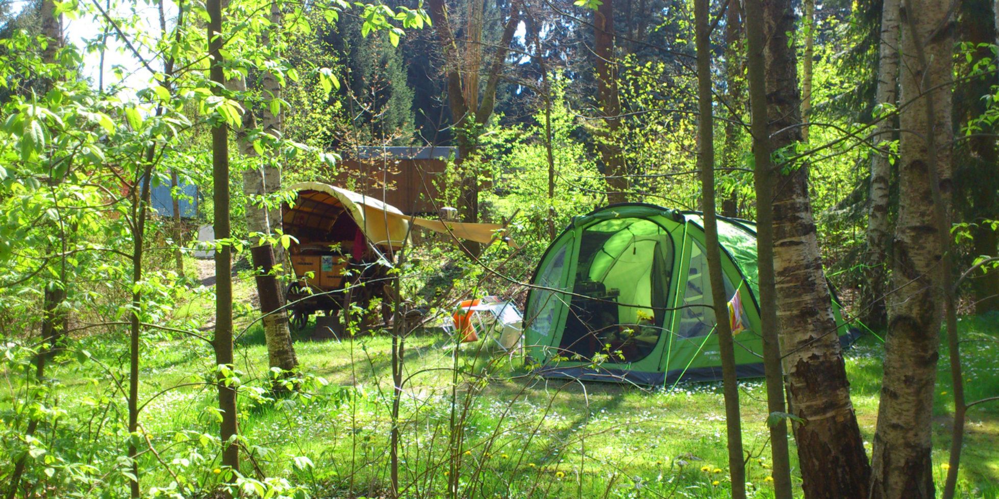 <span>10 campeggi nelle foreste della Germania</span>