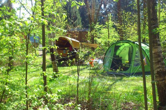10 campeggi nelle foreste della Germania